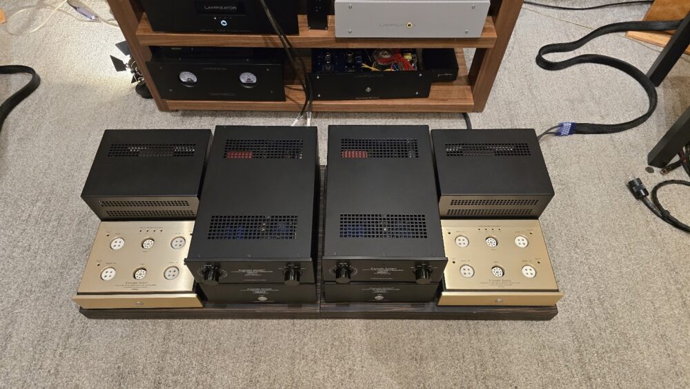 Canary Audio M350 Monoblock Amplifiers ex demo