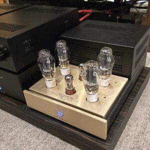 Canary Audio M350 Monoblock Amplifiers ex demo