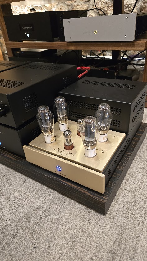 Canary Audio M350 Monoblock Amplifiers ex demo