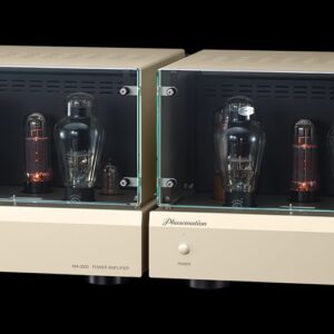 Phasemation MA-3000 300B Monaural Power Amplifier