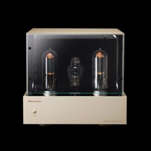 Phasemation MA-5000 | WE-211 Class A Monaural Power Amplifier