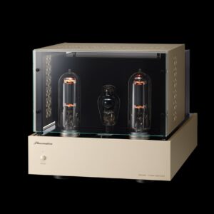 Phasemation MA-5000 | WE-211 Class A Monaural Power Amplifier